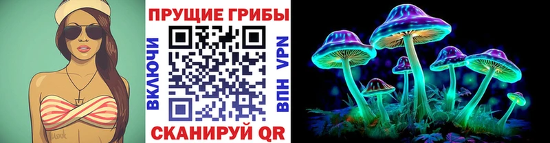 Псилоцибиновые грибы Cubensis  Яхрома 